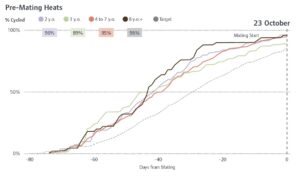 Pre-Mating Heats (23rd October)