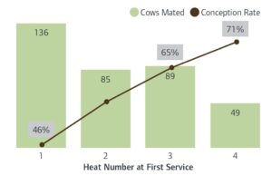 Heat Number at First Service (bar graph)