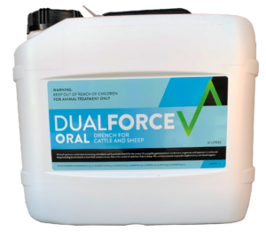 Oral drench for cattle and sheep with minerals