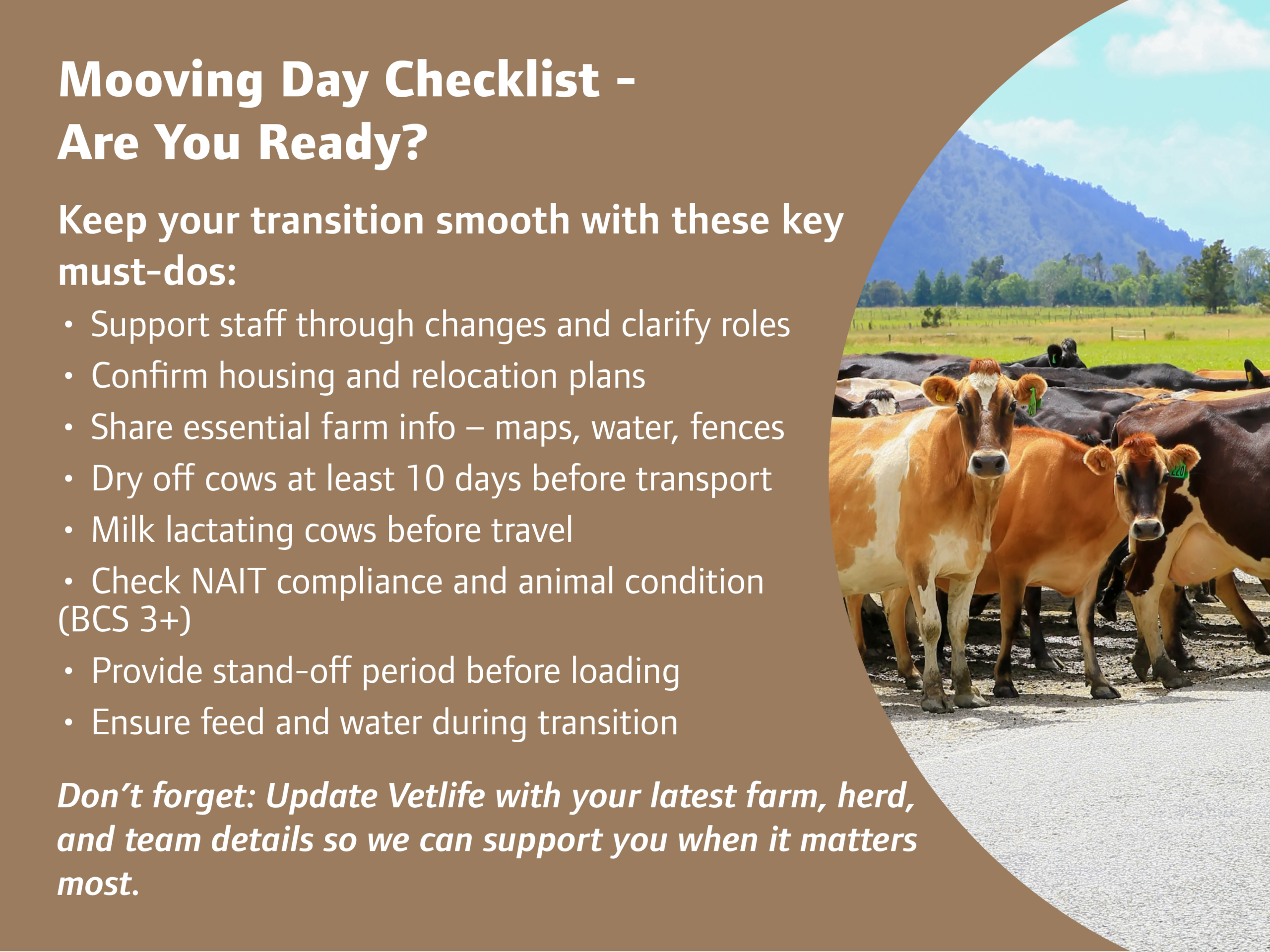 a quick checklist for mooving day in new zealand