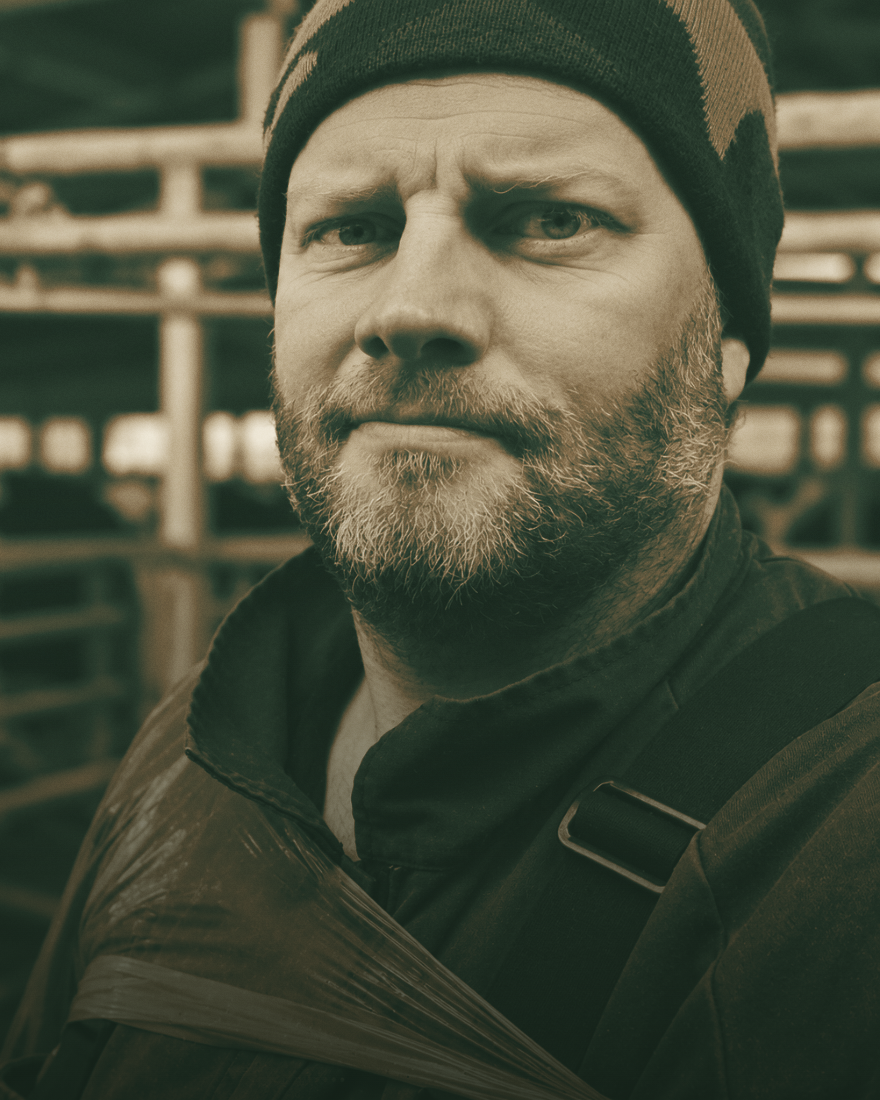 Peter, Hooflife hoof-care technician, in a Canterbury dairy shed