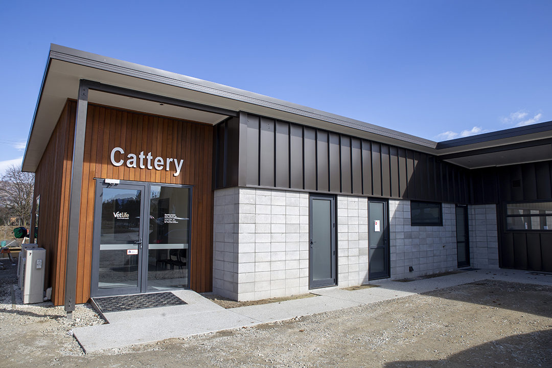 Cattery services at Ashburton, Timaru & Wanaka clinics
