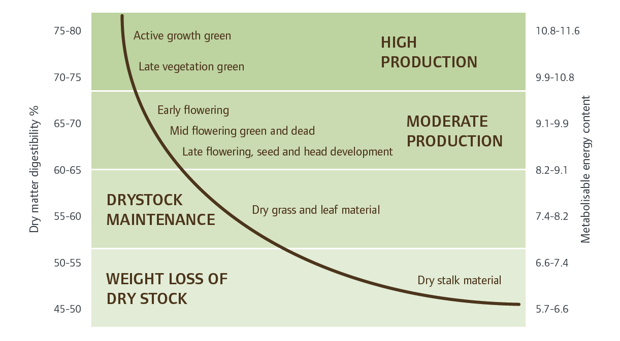 Graph of anticipate animal production levels from pasture