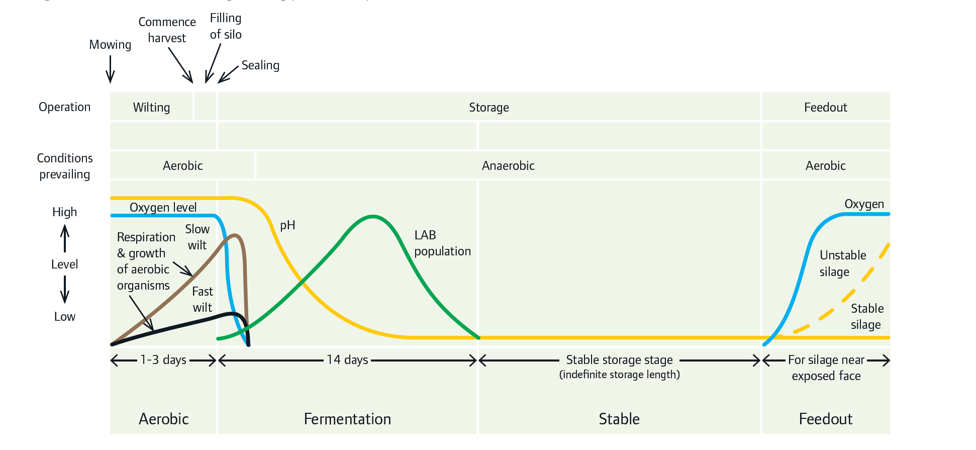 A schematic of the sileage making process