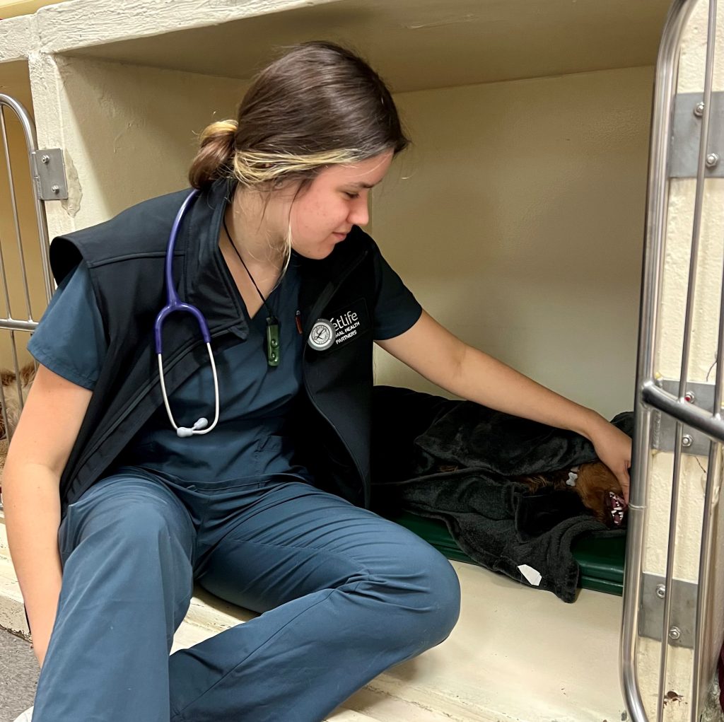 Vetlife vet burse caring for a dog in a kennel
