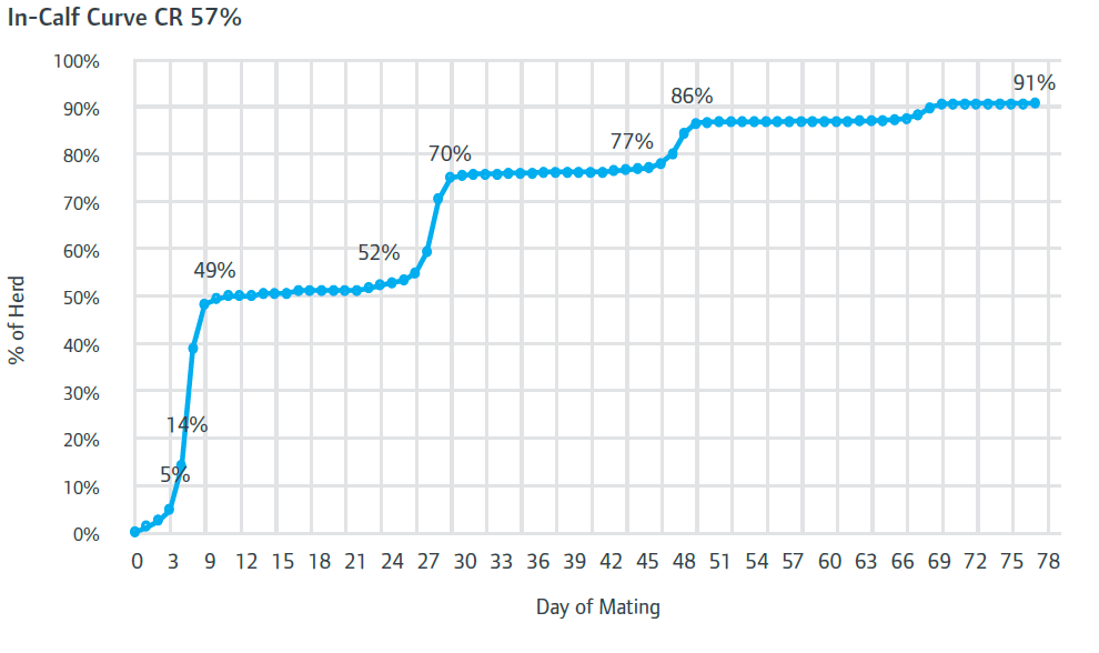 In-calf curve CR 57% line graph