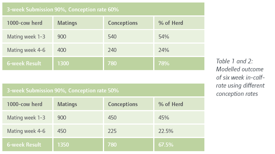 On-calf rate model