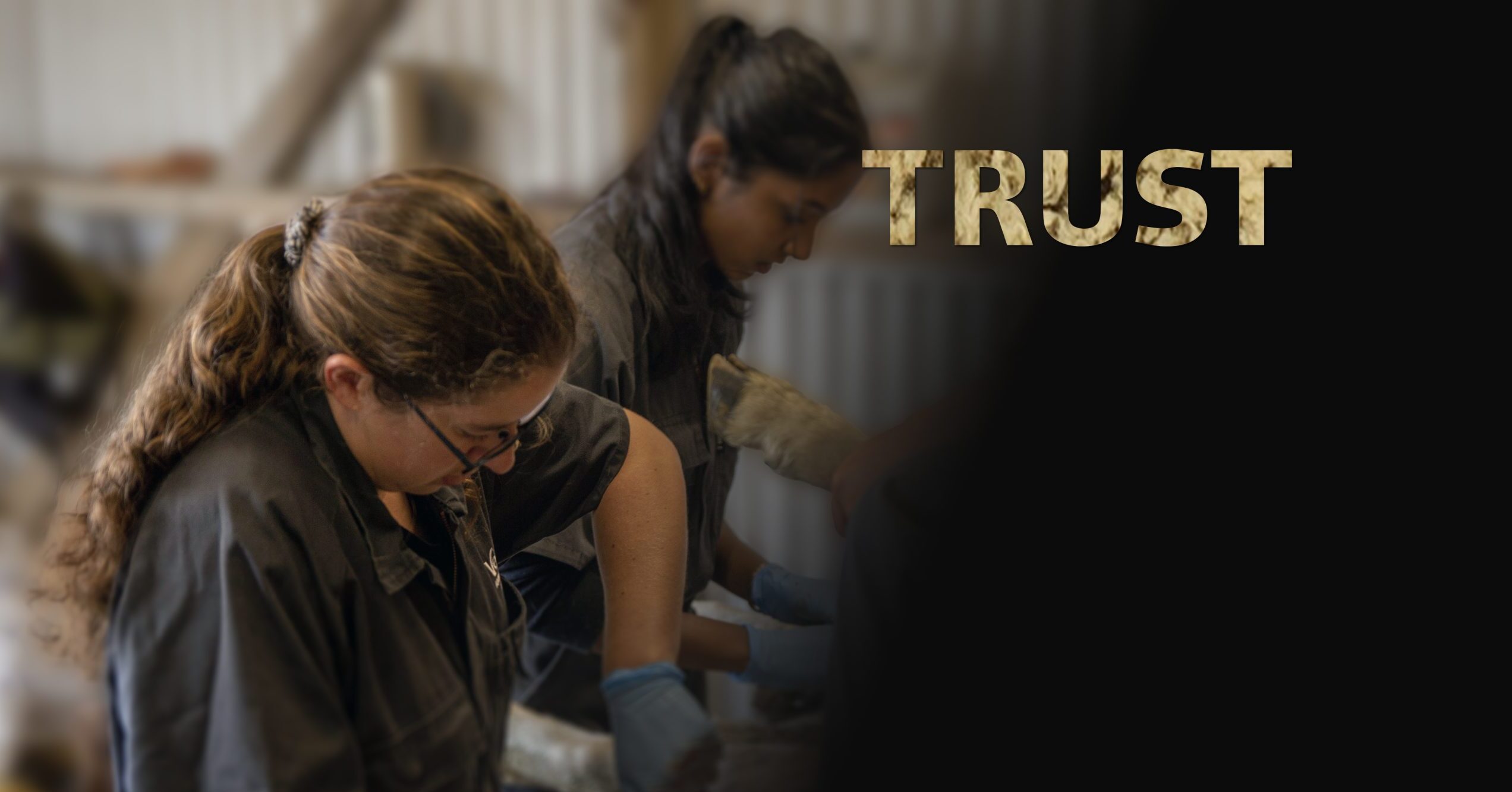 trust hero image at Vetlife