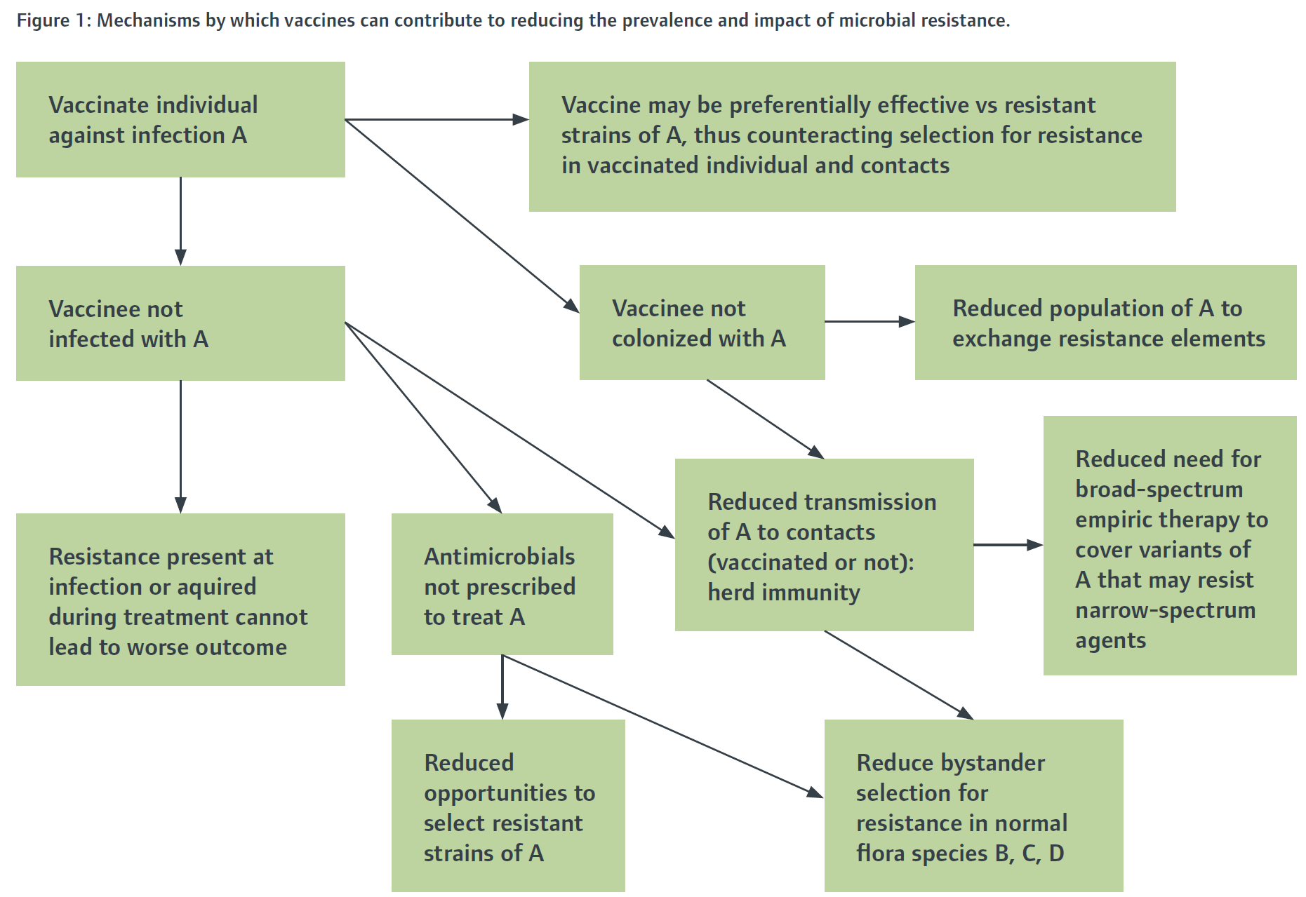 Flowchart showing how vaccines can assist with reducing antibiotic use in animals