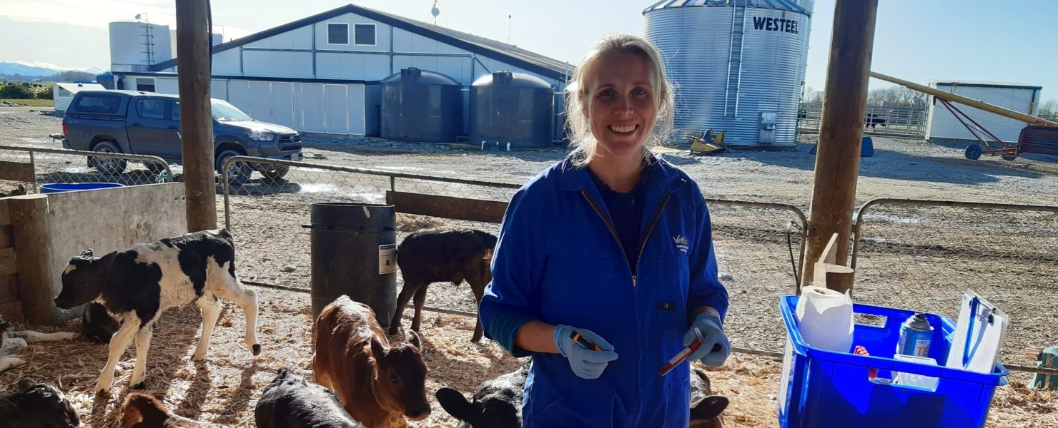 Vet Amy Avery prmoting calf rearing programme, Future Cow