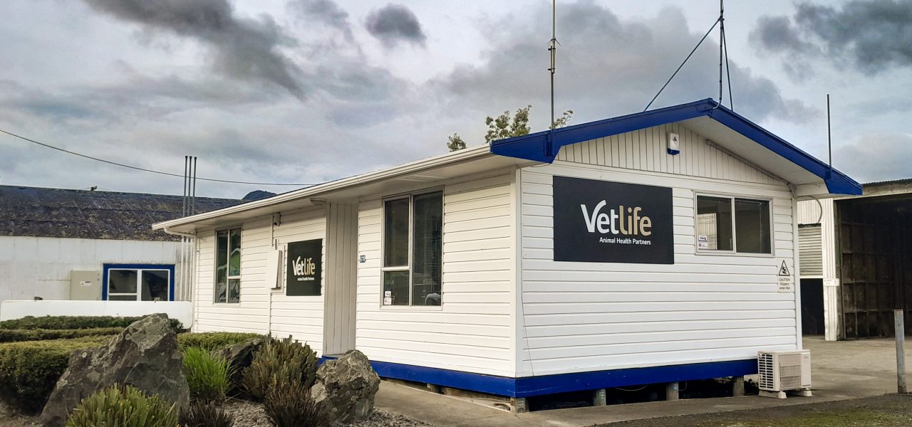 New farm vet retail store in Rai Valley, NZ.