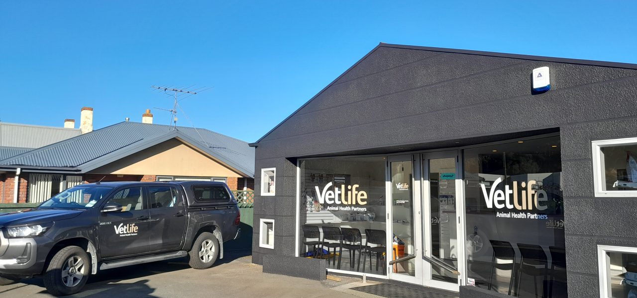 The new St Kilda vets with Vetlife signage