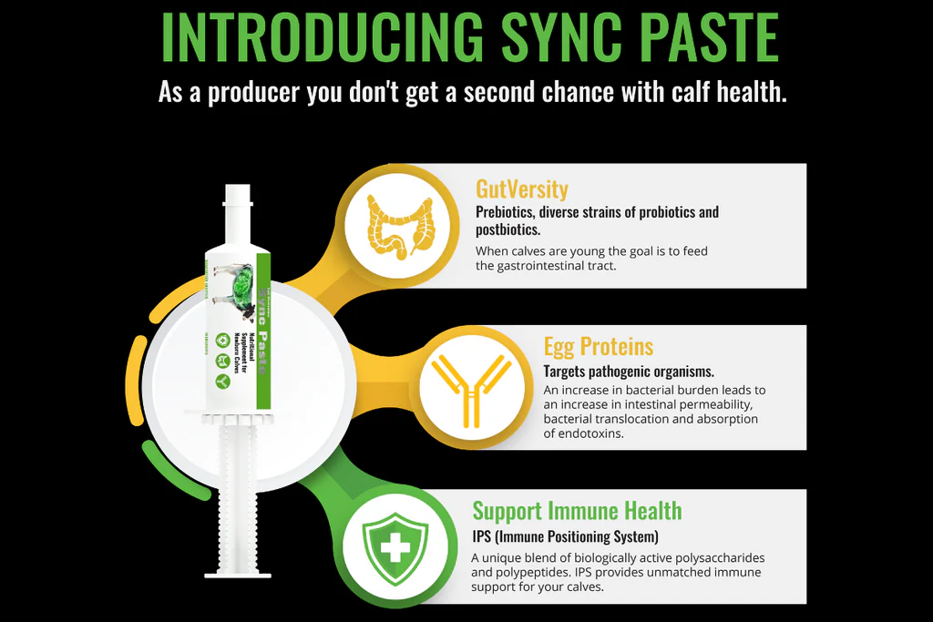 Infographic for Sync Paste