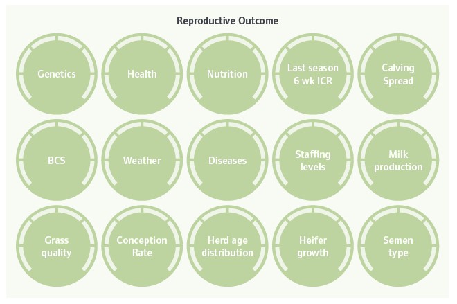 Infographic for reproductive outcome