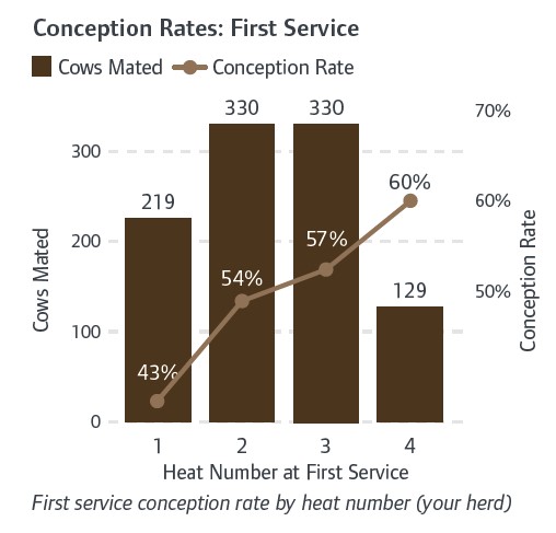 graph for cow wearable data