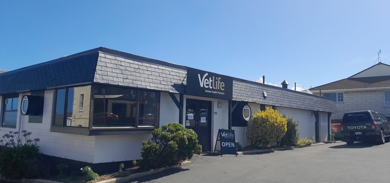 Vetlife Mornington exterior