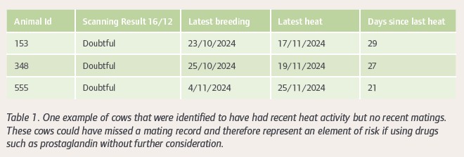 Example table of a cow identified as having had a recent heat but no recent matings.