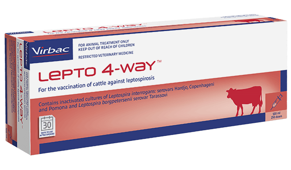 A Lepto 4-Way packshot