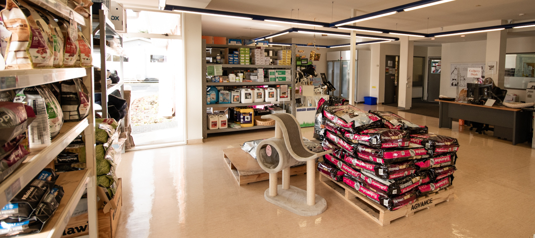 The pet food area at Vetlife Ashburton