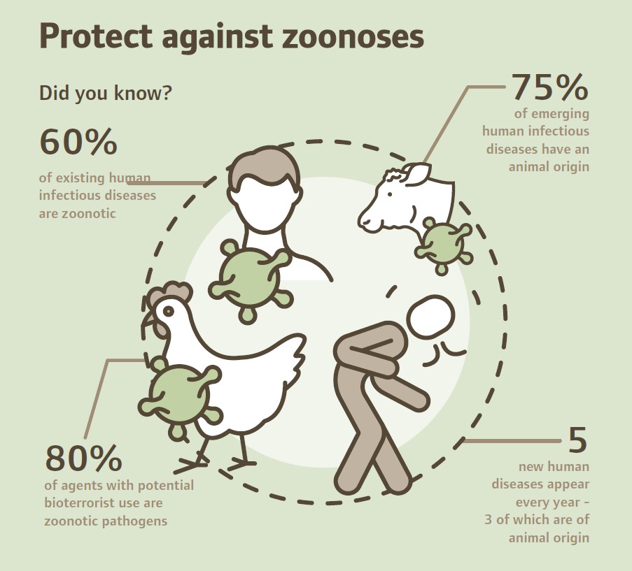 Infographic highlighting facts about Zoonoses