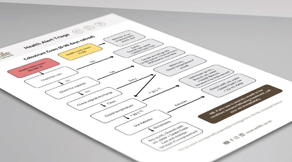 Health Alert Triage flow chart