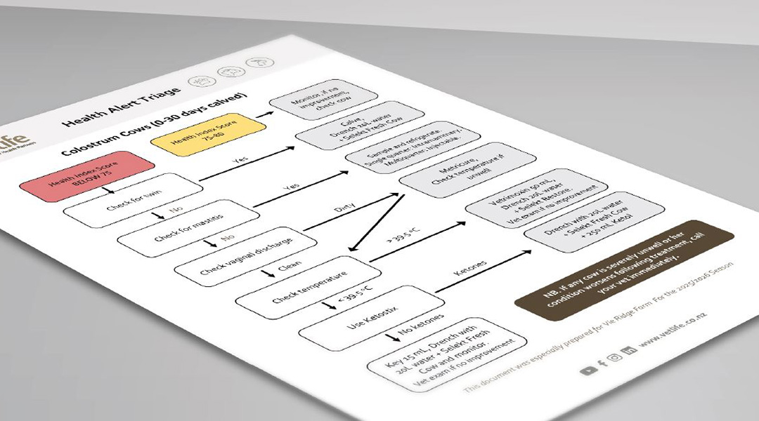 Health Alert Triage flow chart