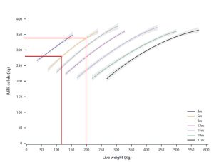 Graph showing Live weight (kg) and Milk solids (kg) 