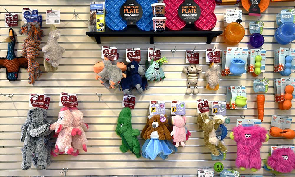 Pet toy shelving rack at Vetlife Ashburton