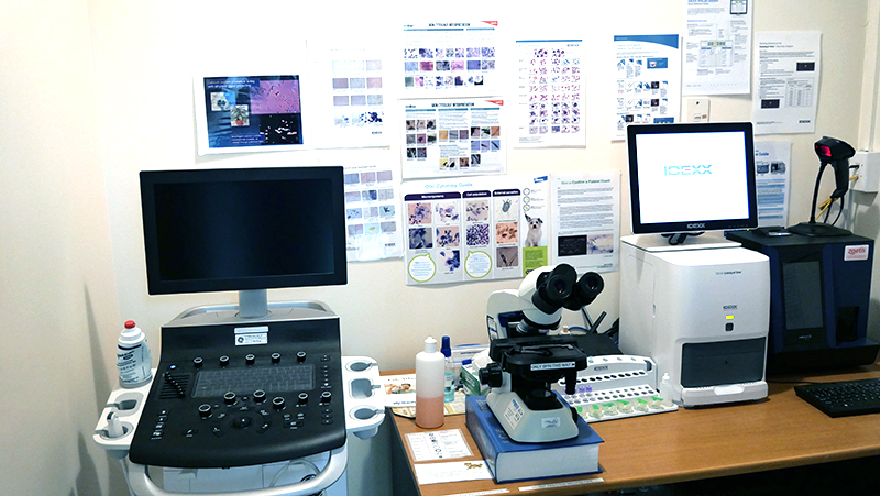 In-house diagnostics