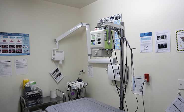 Modern vet equipment