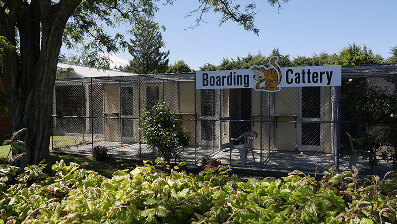 The boarding cattery exterior at Vetlife Ashburton