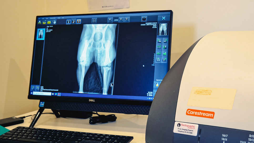 A close up of an e-ray on a monitor