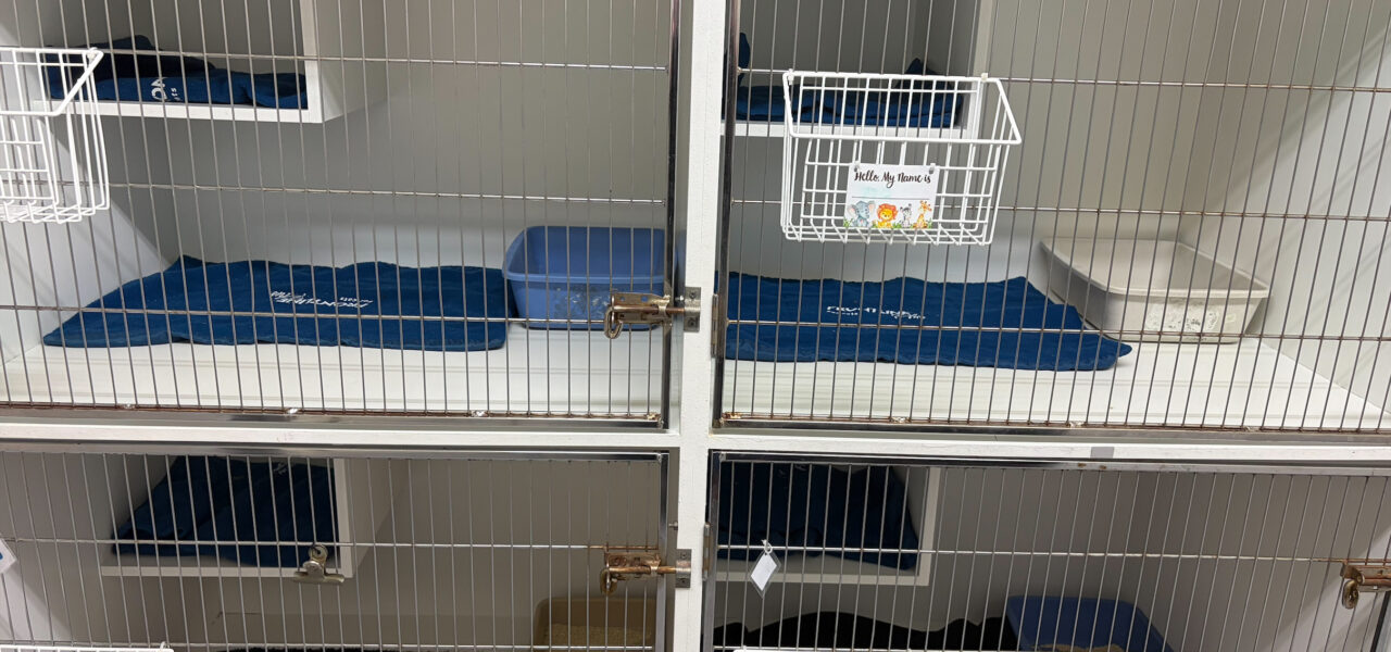 Vetlife New Brighton cat cages