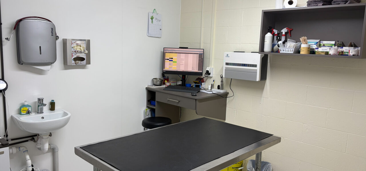 Vetlife New Brighton consult room