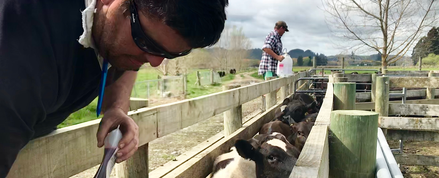 Farmer in races